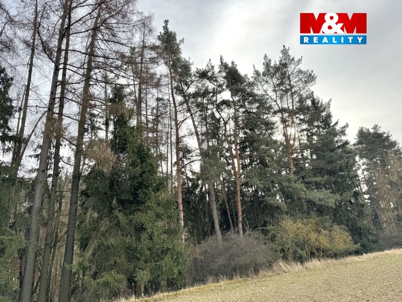 Prodej chalupy, 70 m², Trhový Štěpánov, obec Dálkovice