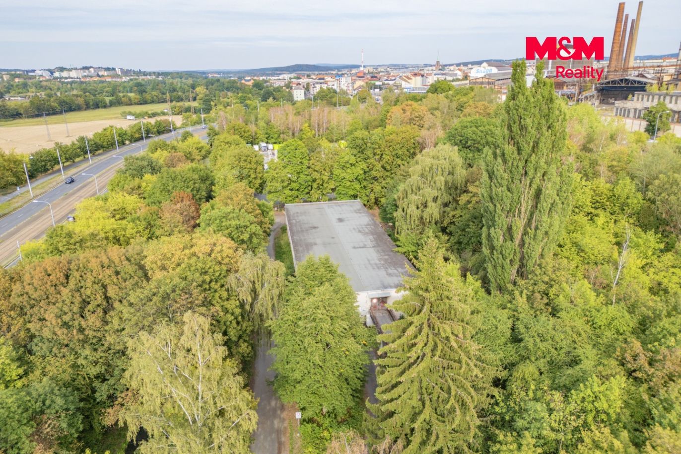 DJI_0217.jpg