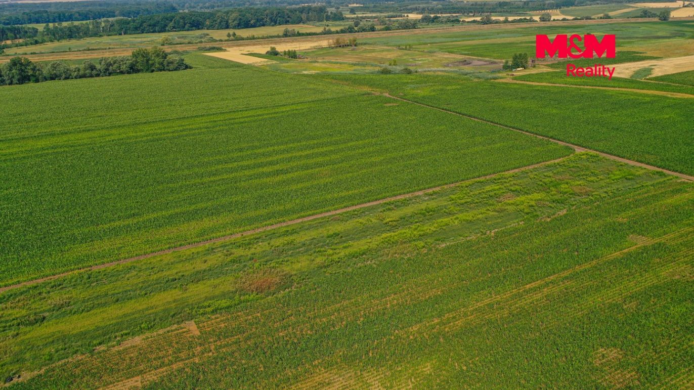 DJI_0864.jpg