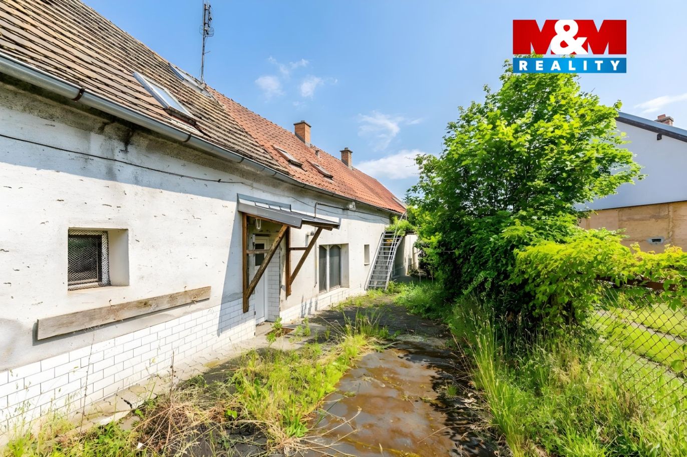 5b.jpg