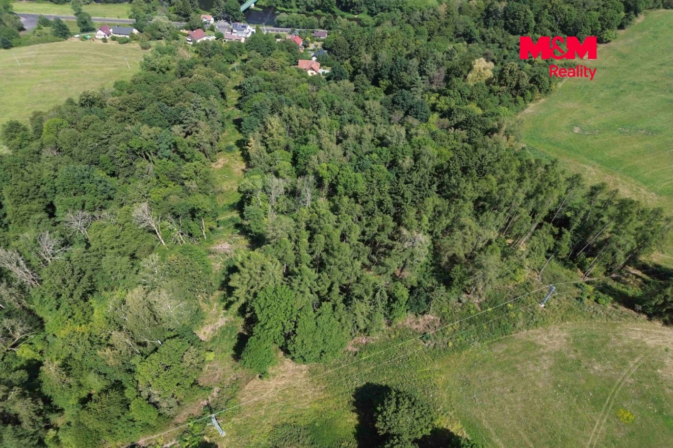 DJI_0388.jpg