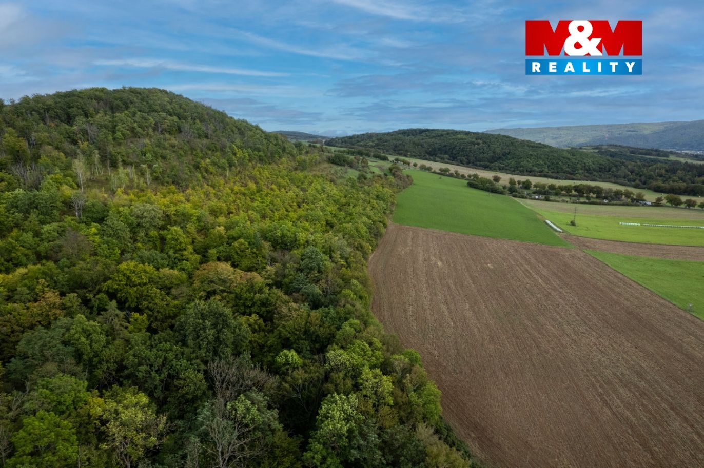 DJI_0464.jpg