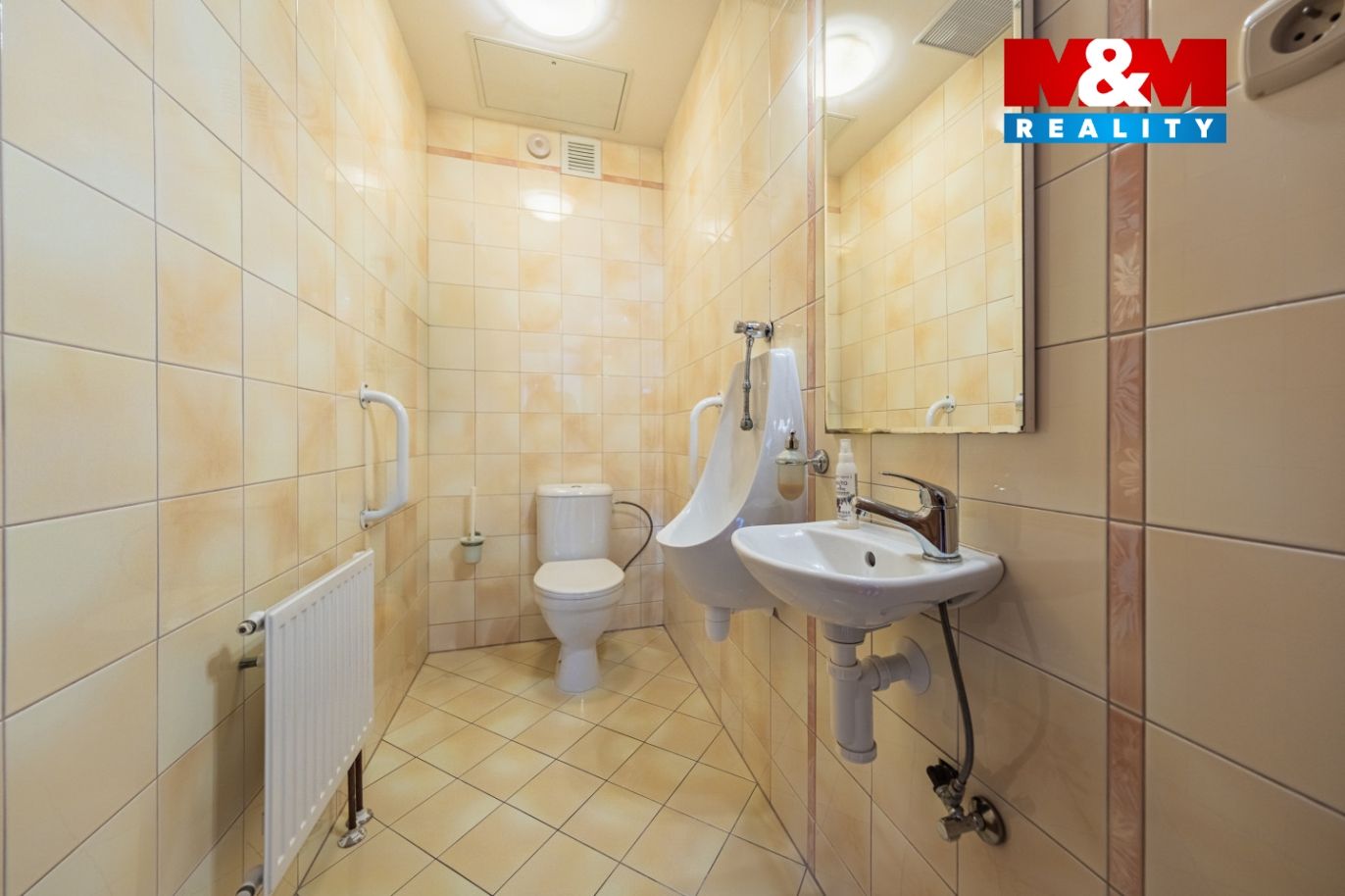 Pronájem rodinného domu, 220 m², Praha, ul. Markvartická