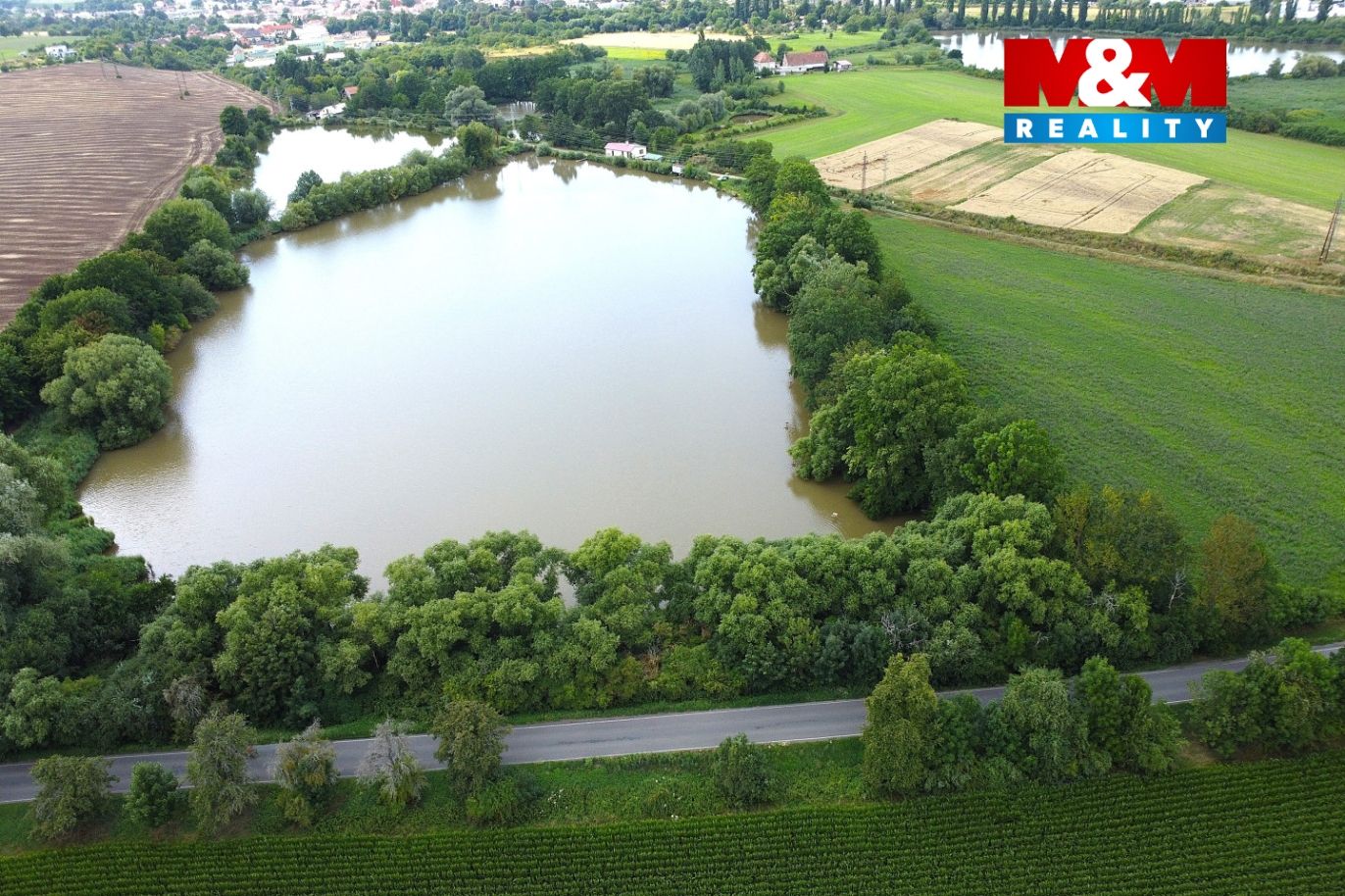 DJI_0736.jpg