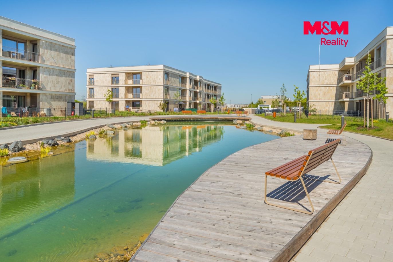 DSC_2448.jpg