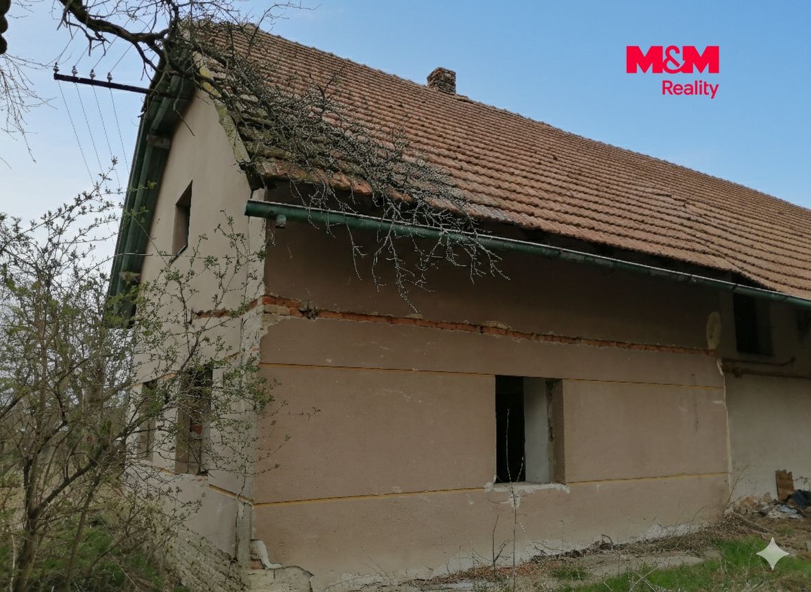 Foto č. 2.png