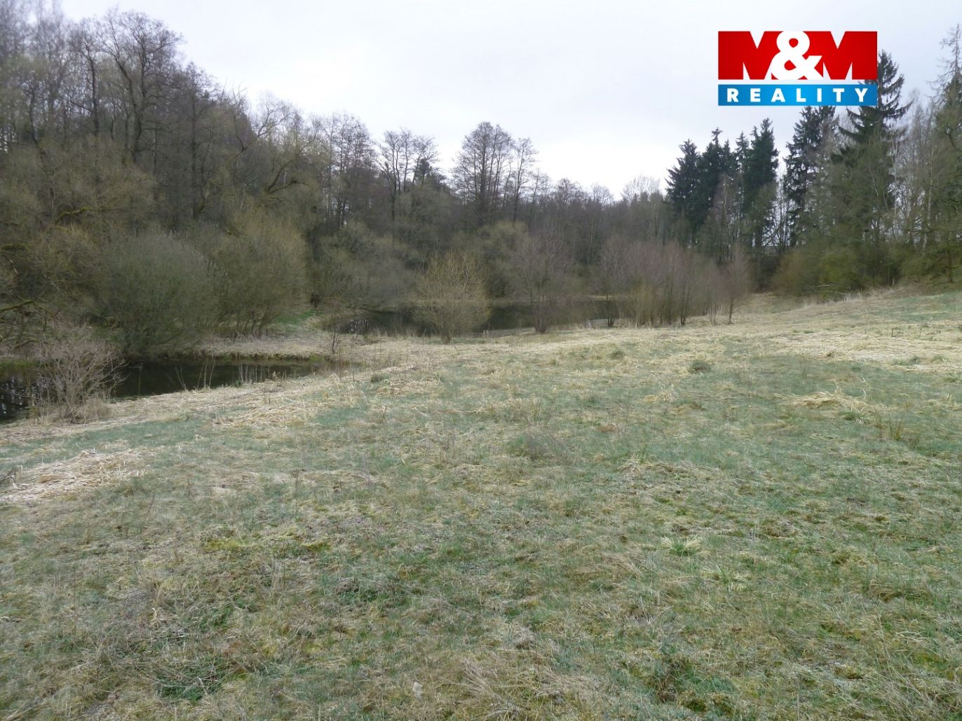 foto 3.jpg