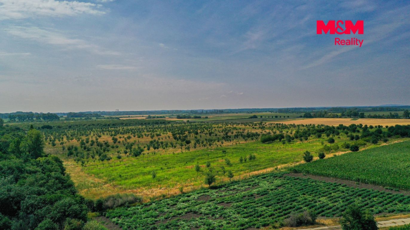DJI_0890.jpg