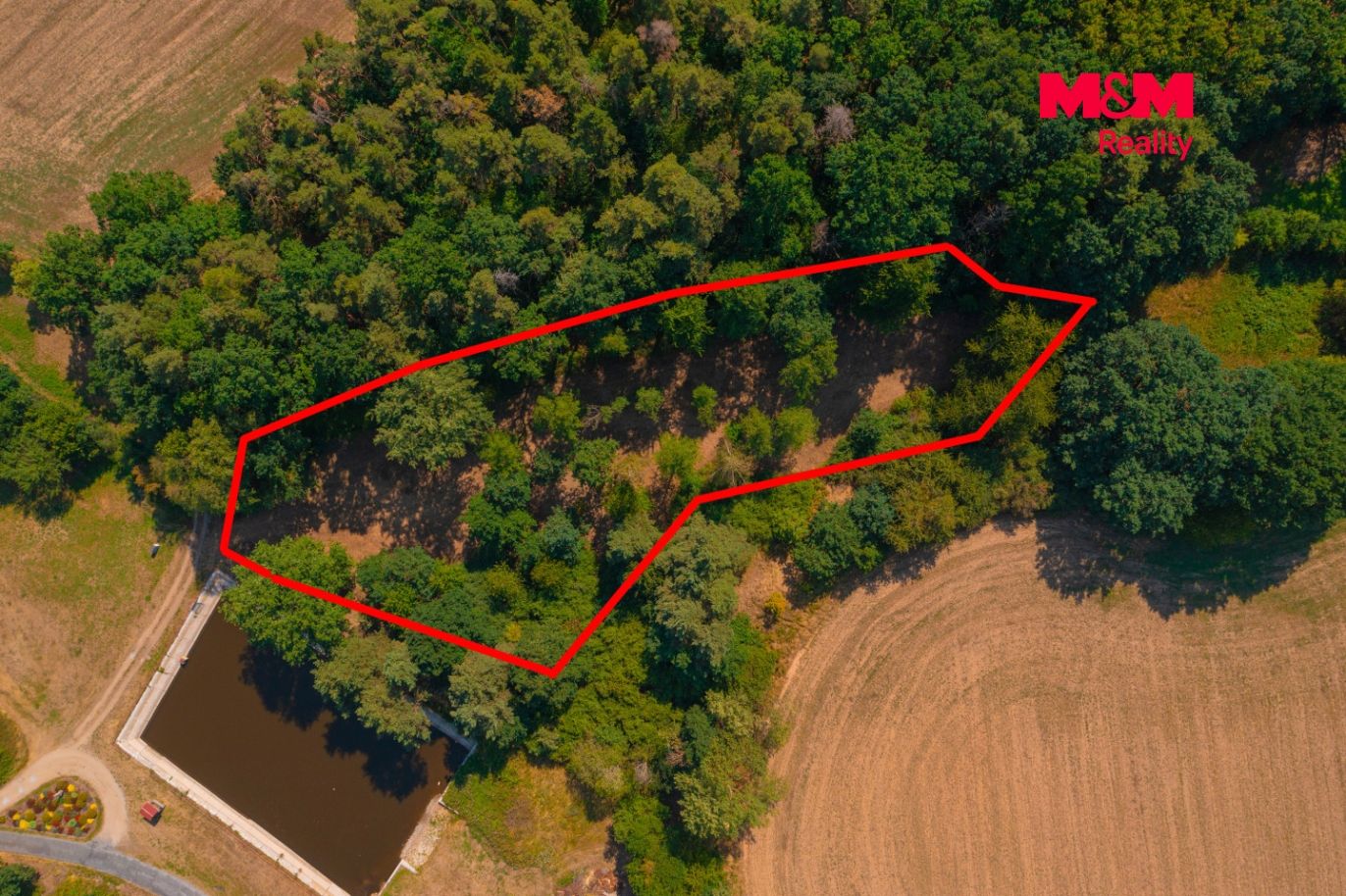 DJI_0546 kopie.jpg