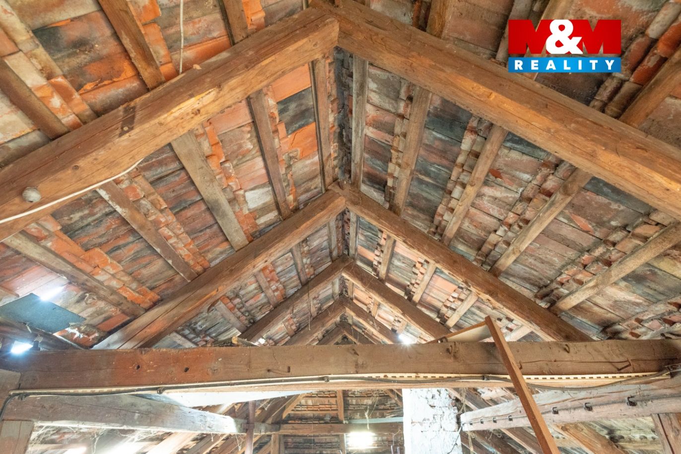 DSC_5369.jpg