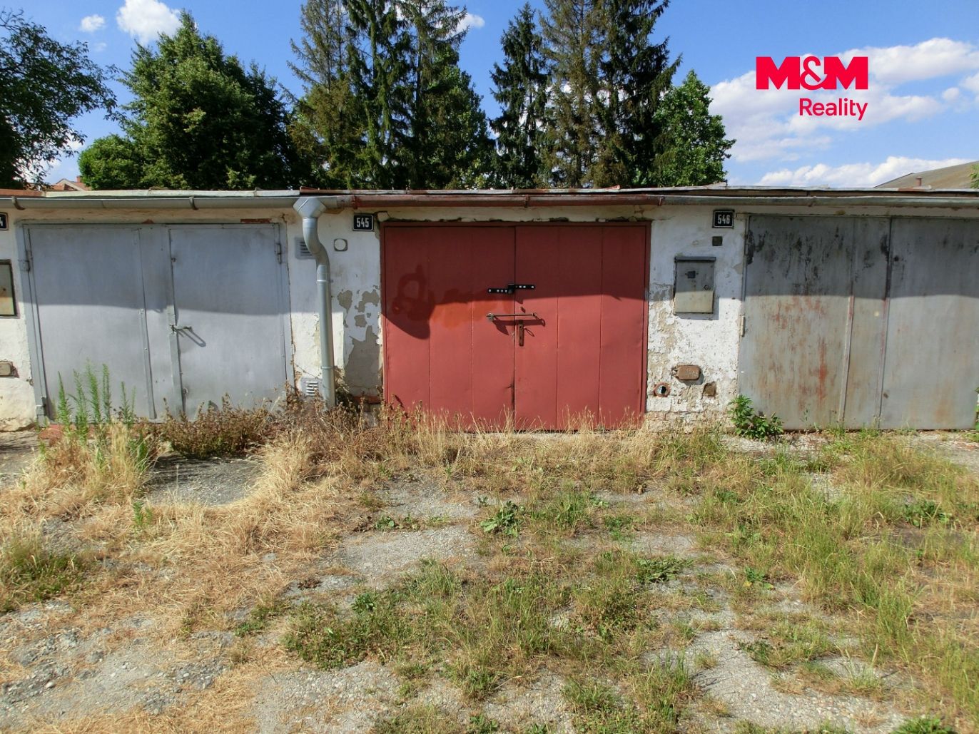 CIMG5997.jpg