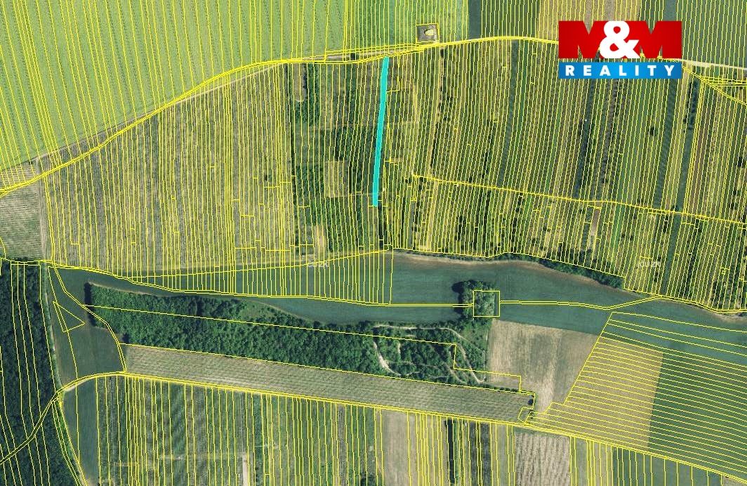 mapka