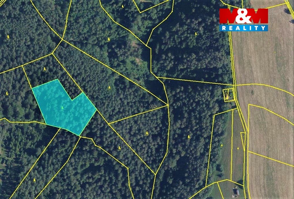 mapka