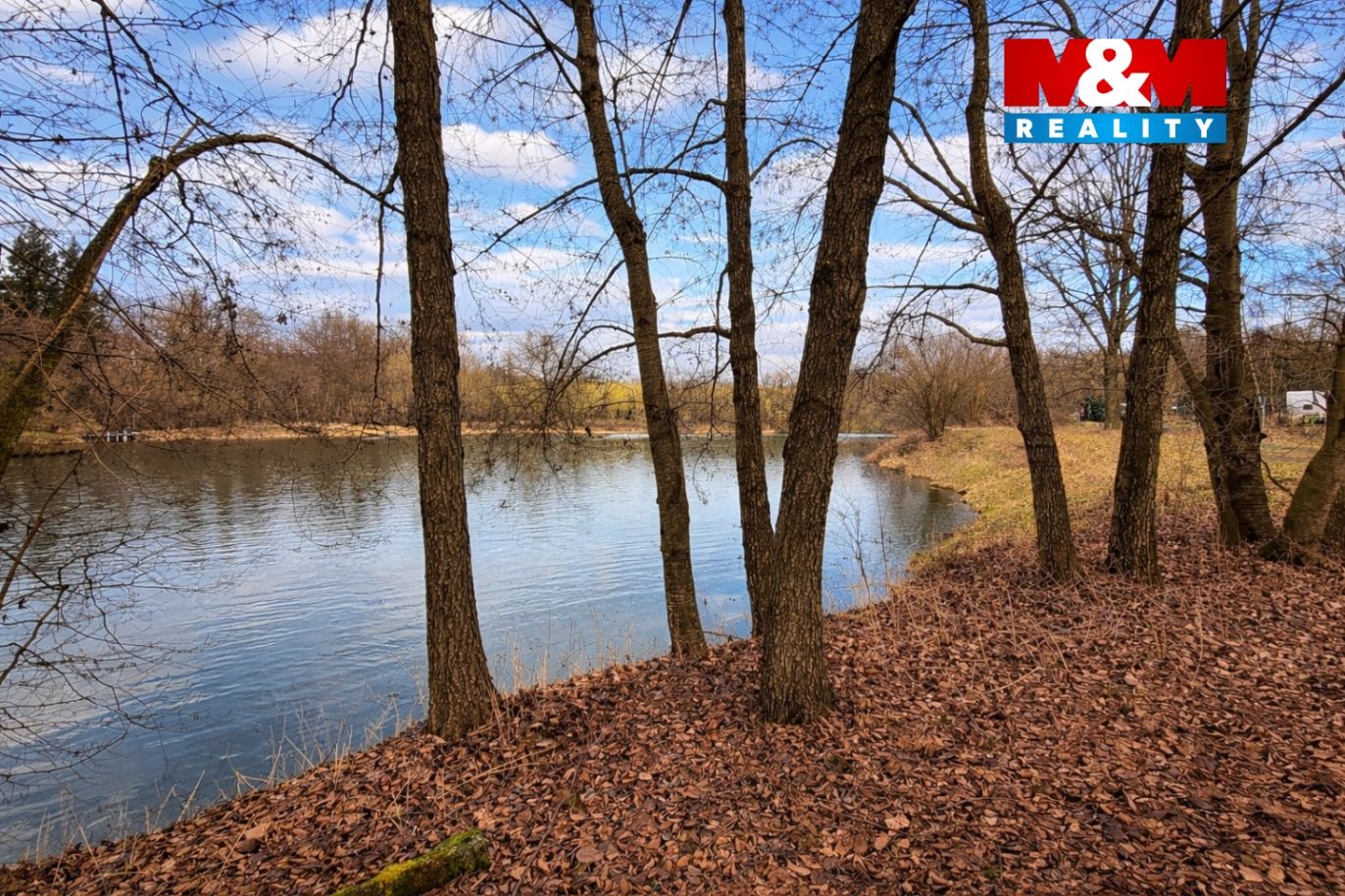 image_838972C4-9421-46ED-A86A-C40DA0BED32D_1771093203.png