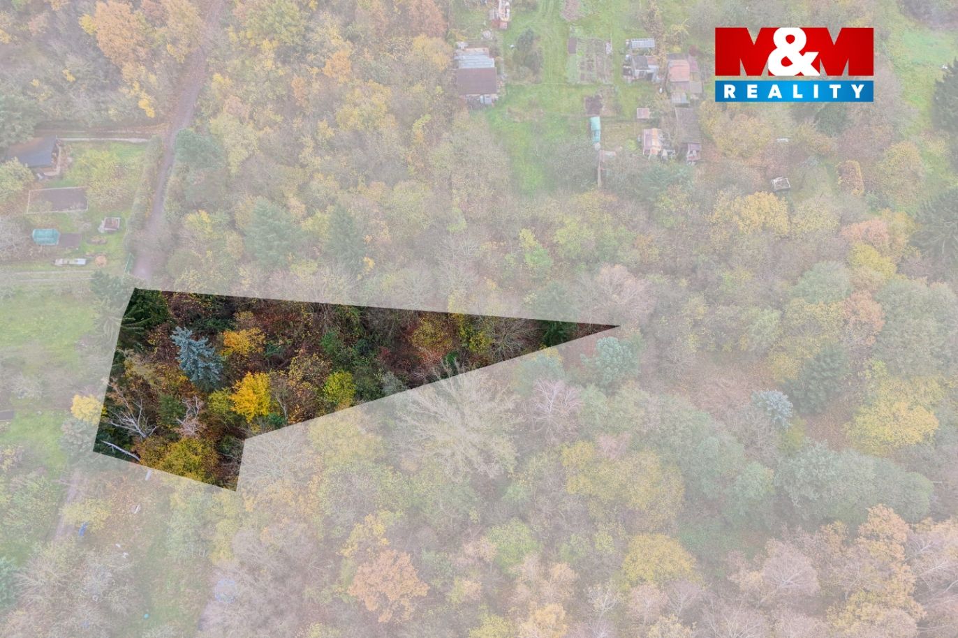 DJI_20241114095357_0884_D kopie.jpg