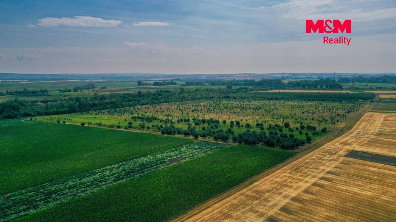 DJI_0896.jpg