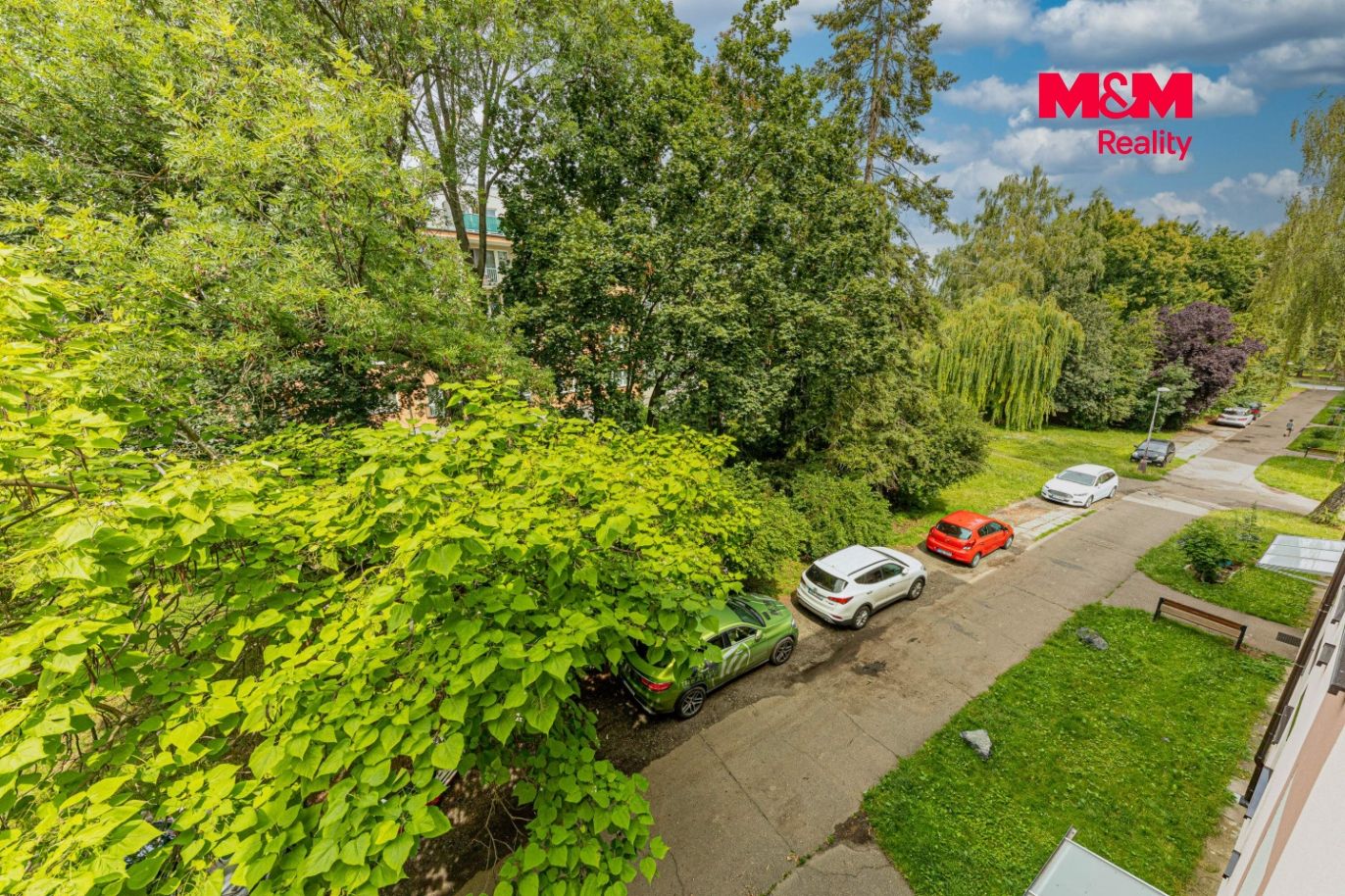IMG_39525791.jpg