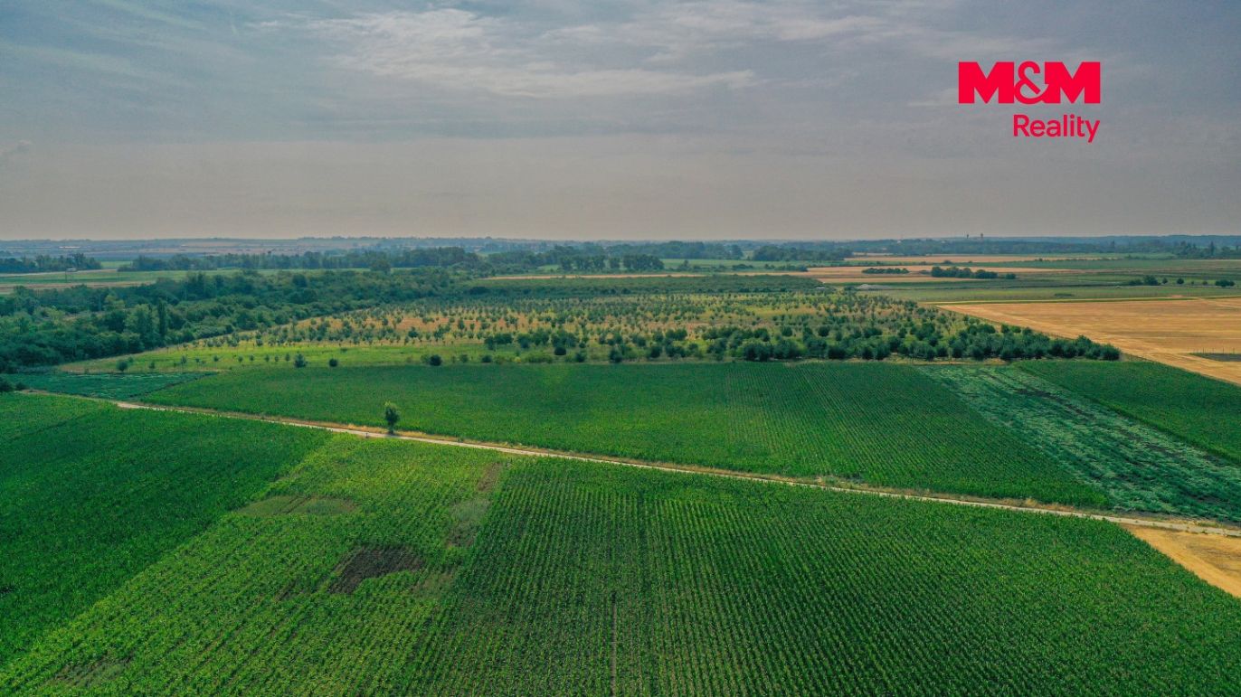 DJI_0894.jpg
