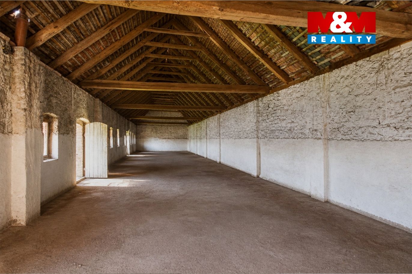 Realitni╠ü fotografie - Velte╠îz╠îe - Kla╠üra Pr╠îibi╠ükova╠ü - 26 - AI.jpg