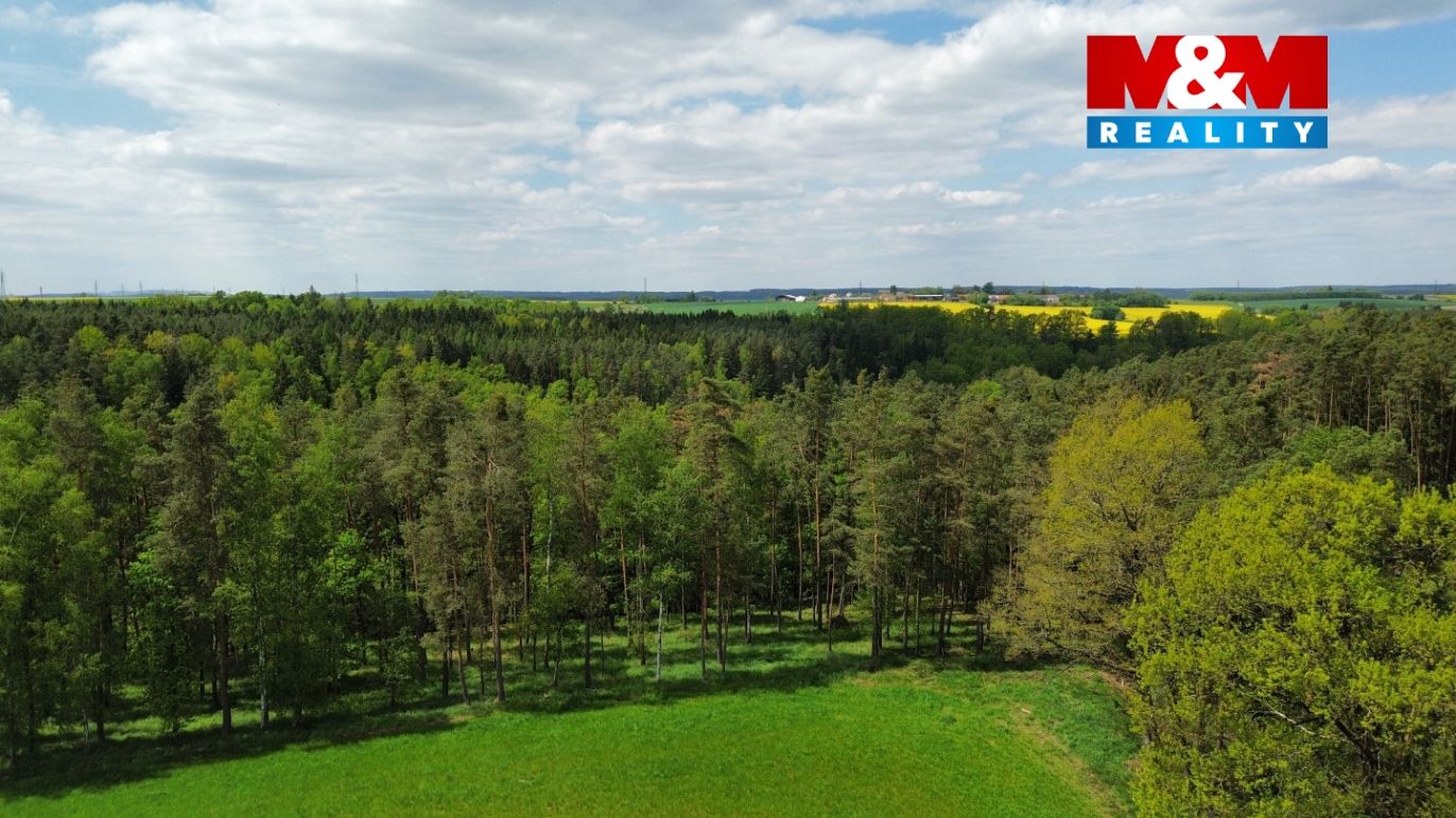 dji_fly_20250507_122754_429_1746614011814_photo_optimized.jpeg