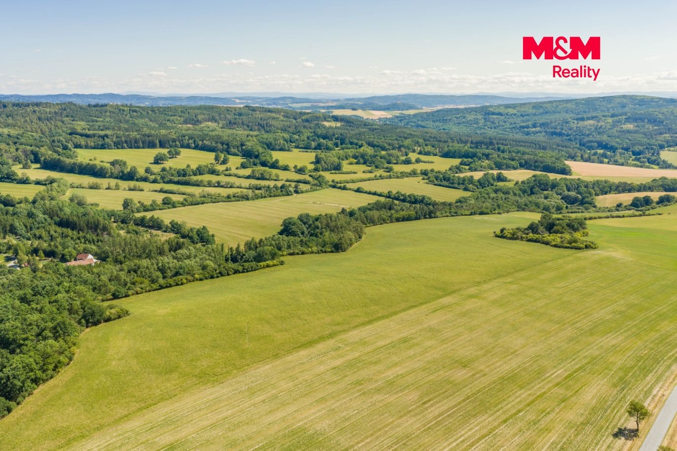 DJI_20260709155236_0871_D.jpg