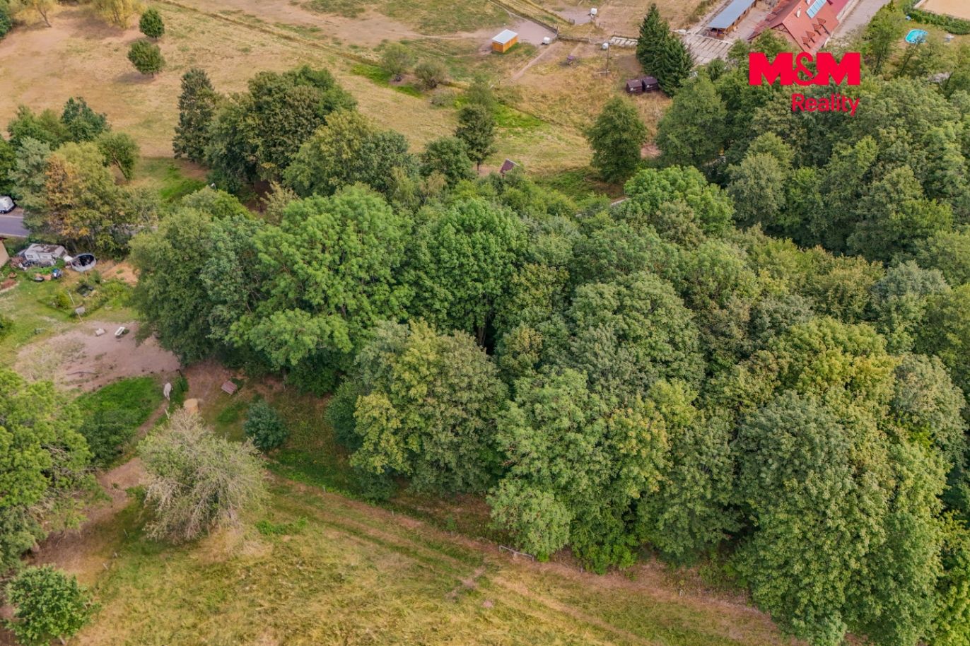 DJI_20260806112842_0120_D.jpg