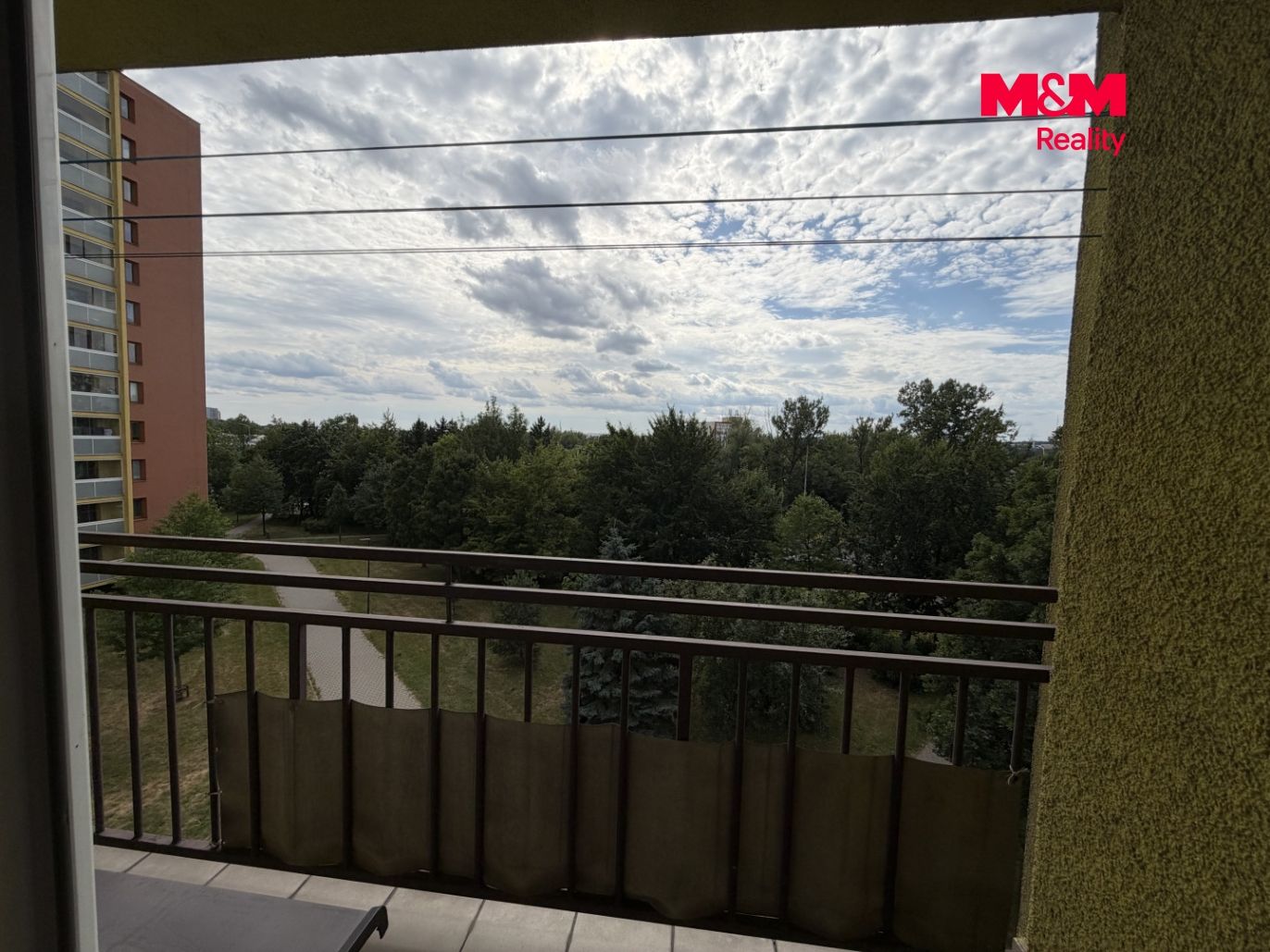 IMG_2802.jpeg