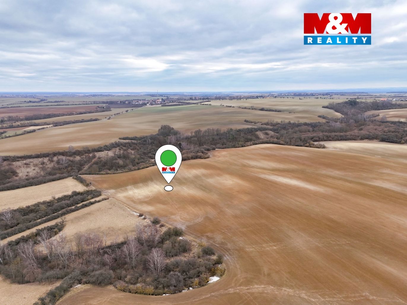 DJI_20260215115616_0010_D-v.jpg