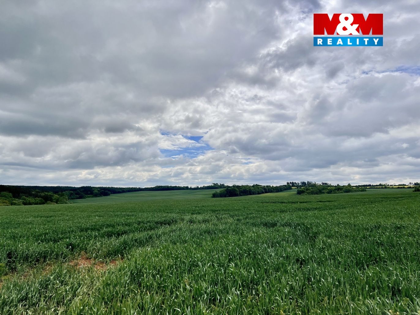 image_68835EA3-6ABE-4D4B-8780-D666A37F297B_1747658946.jpeg
