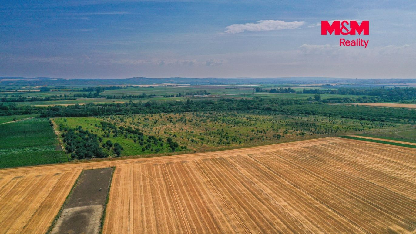 DJI_0898.jpg