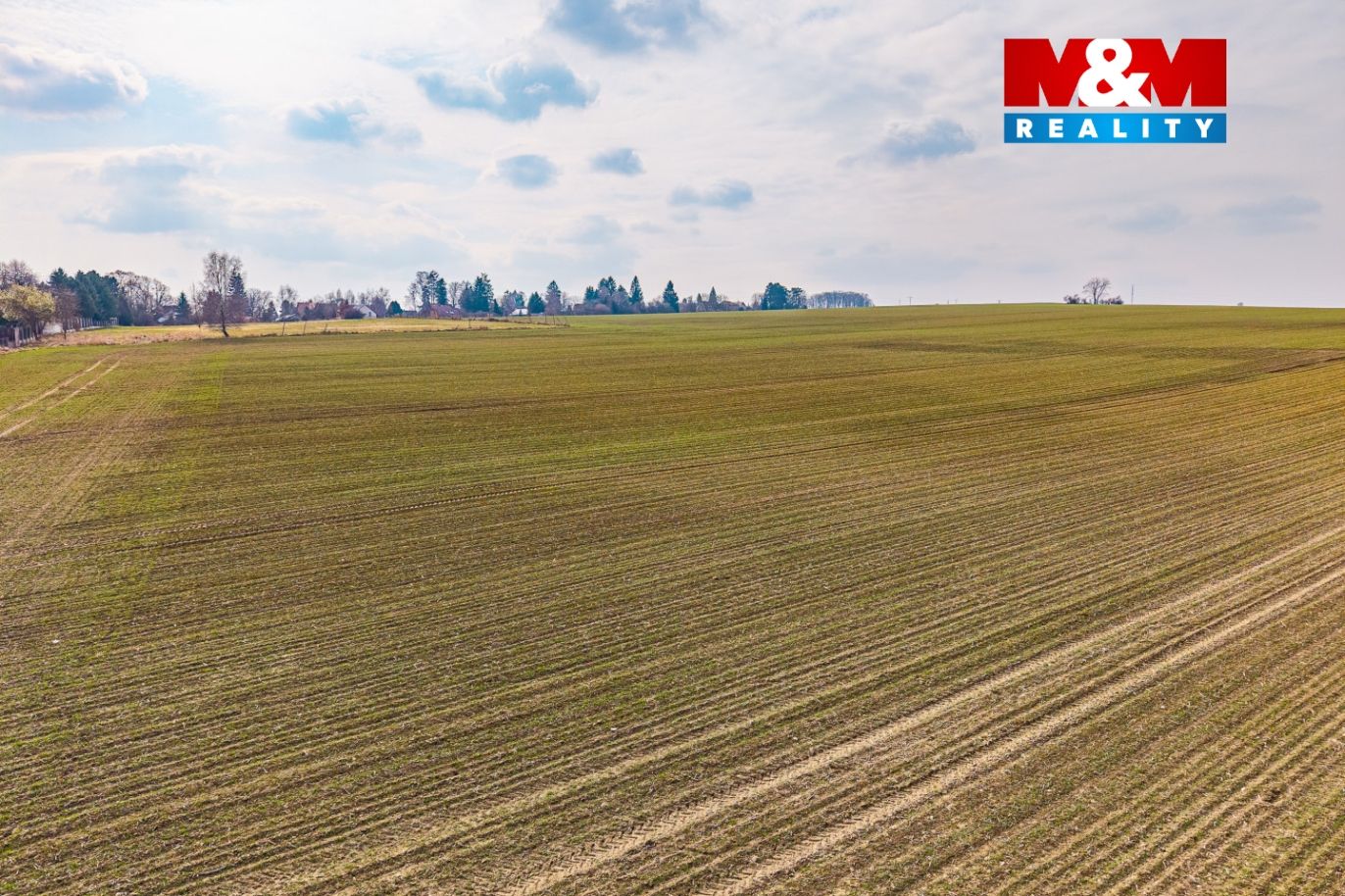 DJI_20250826075724_0018_D.jpg