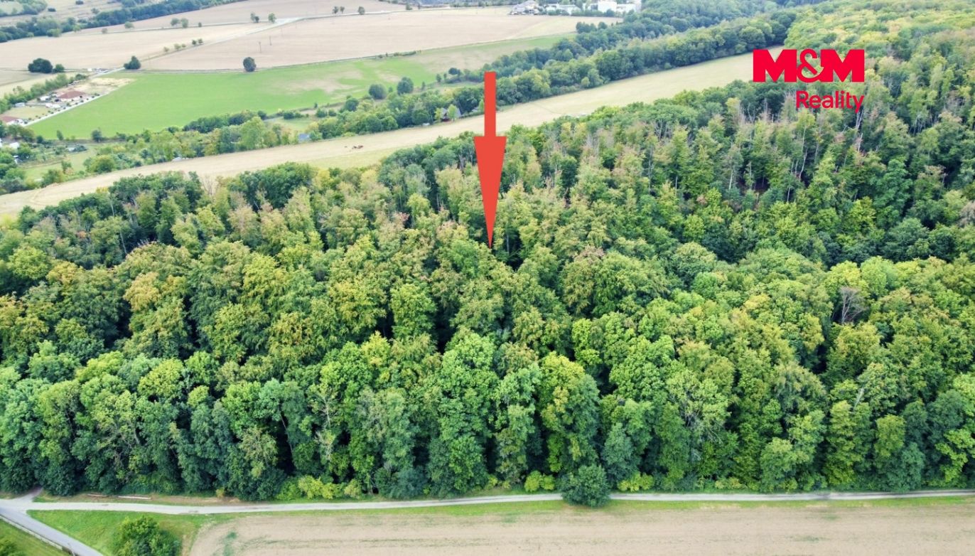 dji_fly_20260901_164656_462_1788274025991_photo_optimized.jpeg