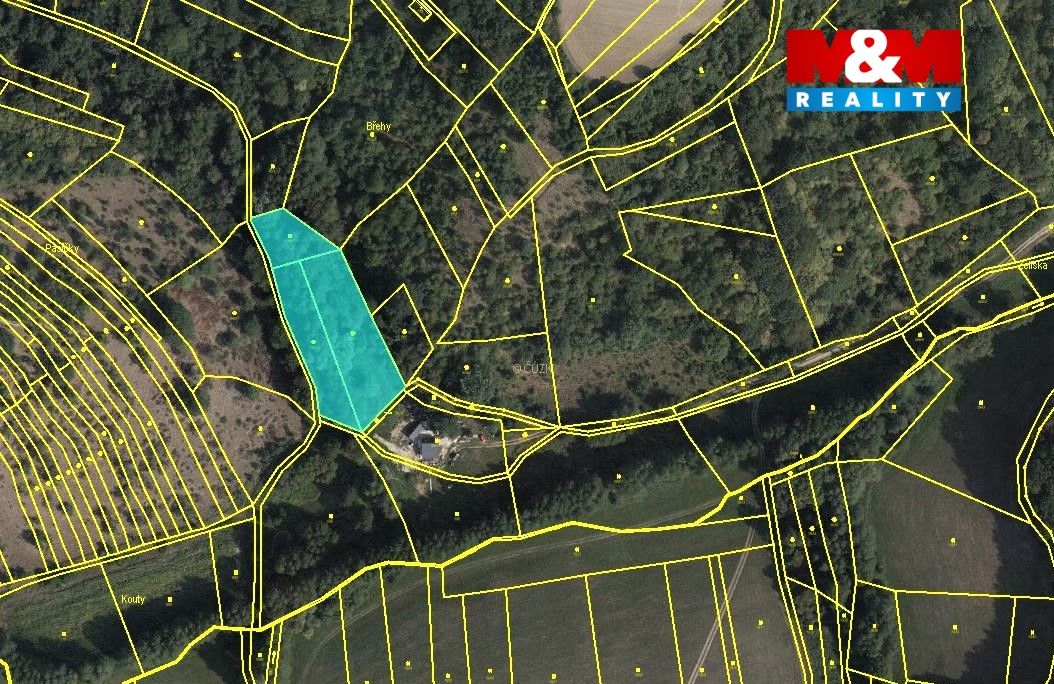 mapka