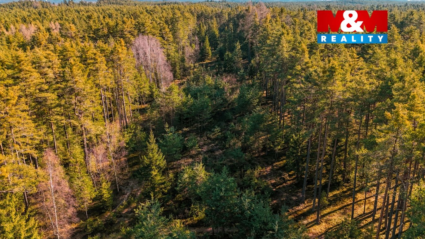 DJI_20260227142007_0920_D-2.jpg