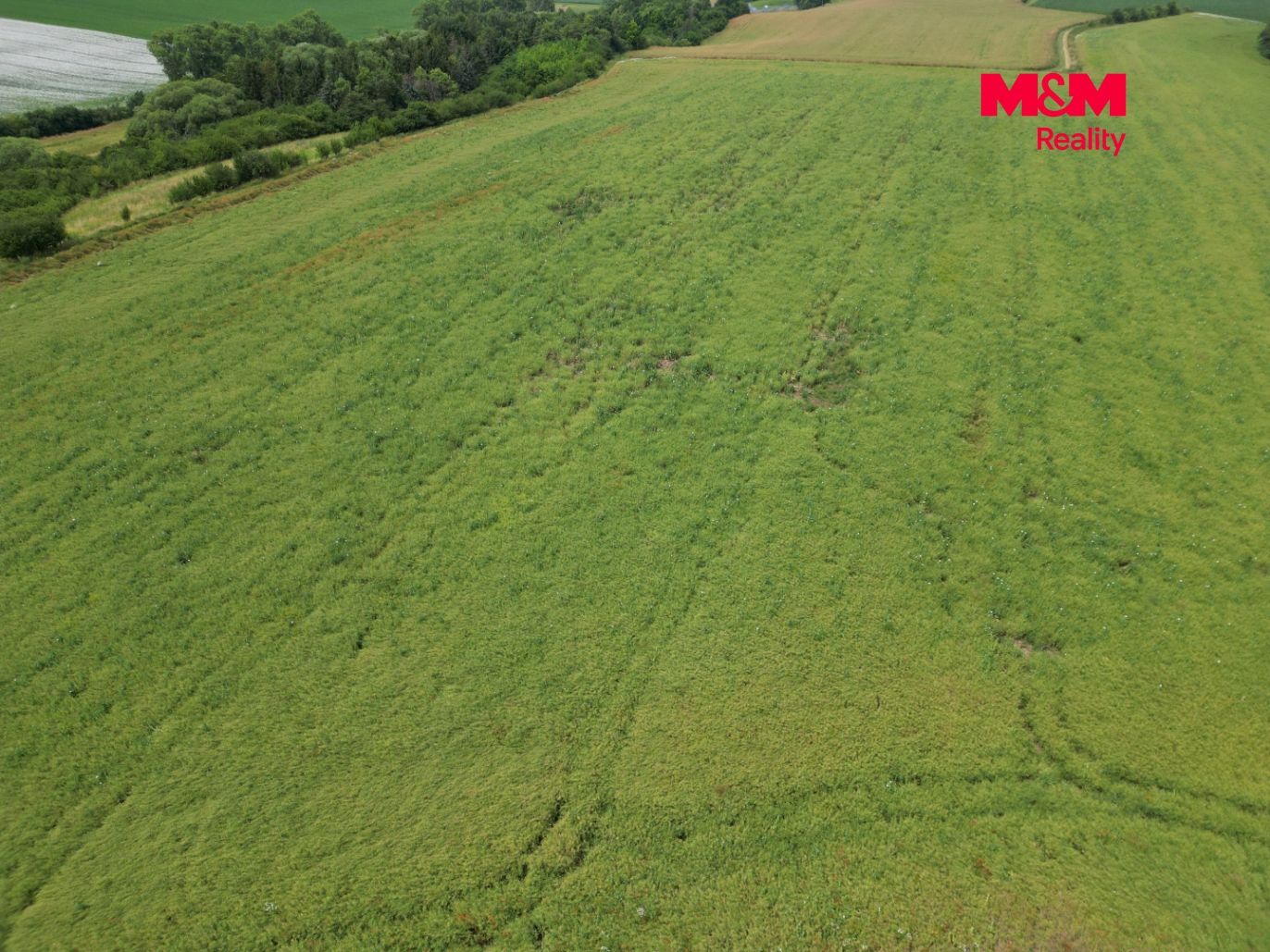 DJI_0575.jpg