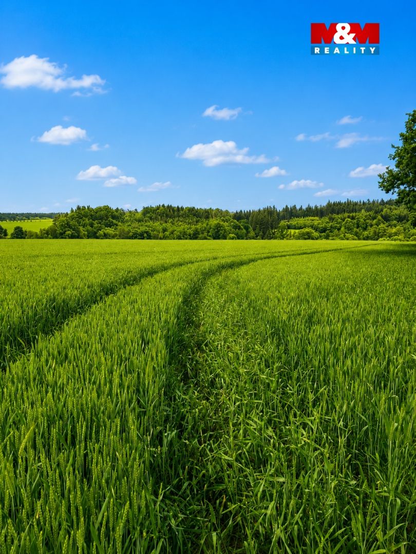 image_5D5D6A9B-D1E1-4CD6-B026-C462F58D4818_1781166247.png