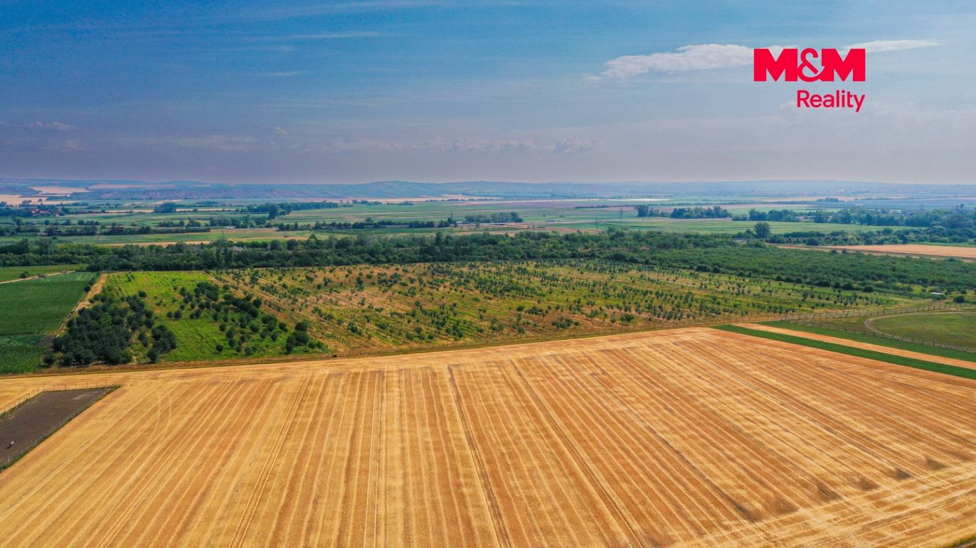 DJI_0901.jpg