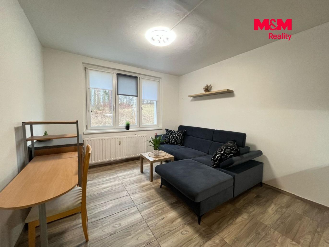 IMG_8773.jpeg