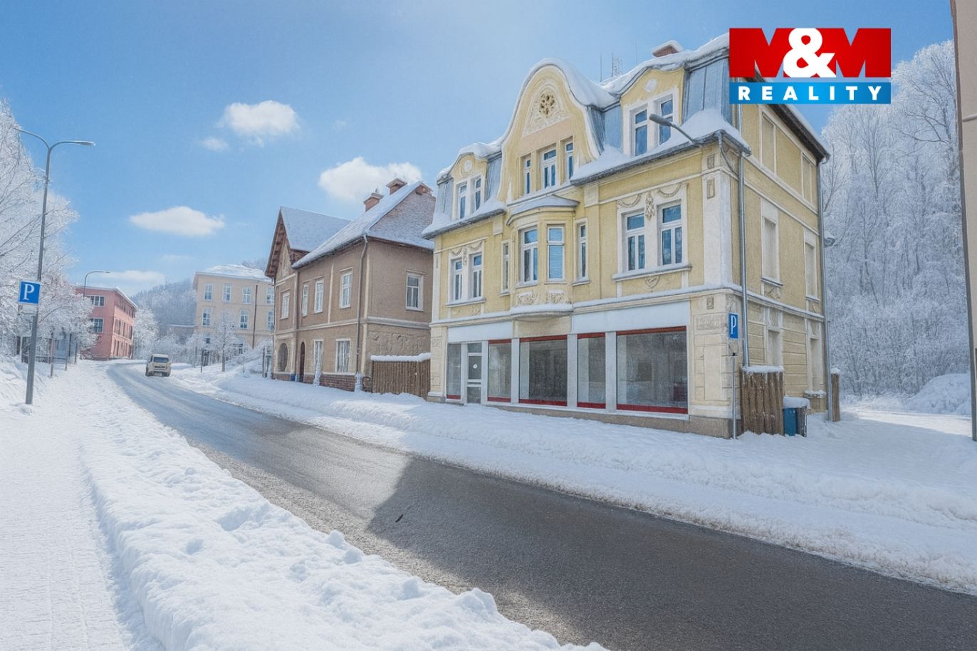 Dům