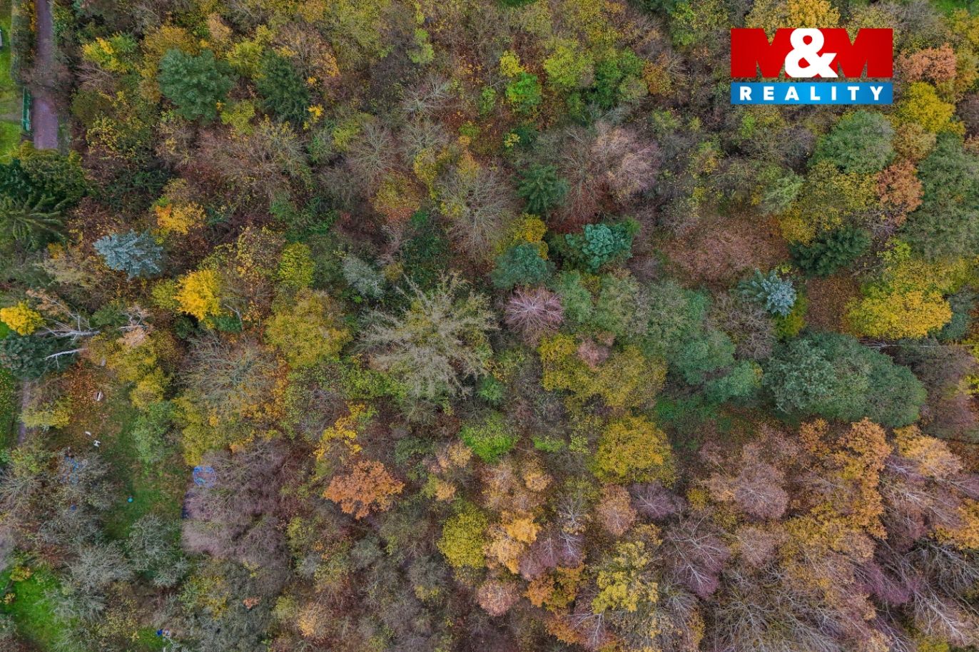 DJI_20241114095339_0881_D.jpg