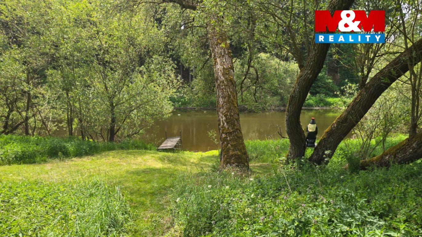 Řeka s vodníkem.jpeg