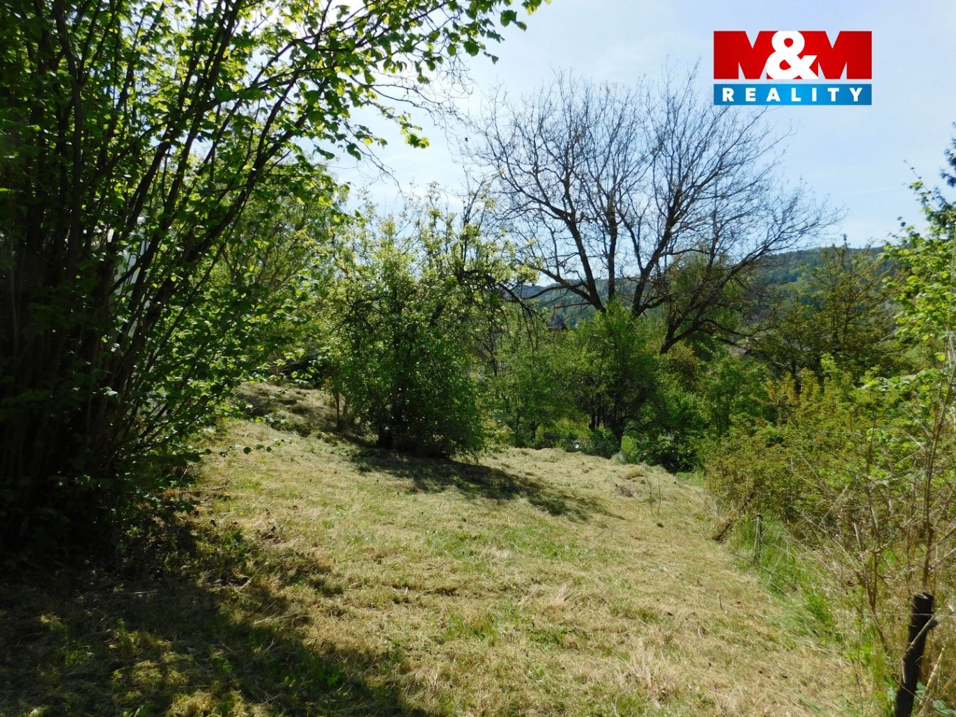 DSCN2697.jpg