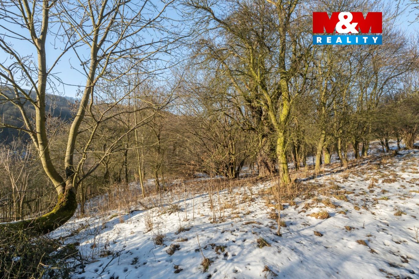 Pohled na pozemky