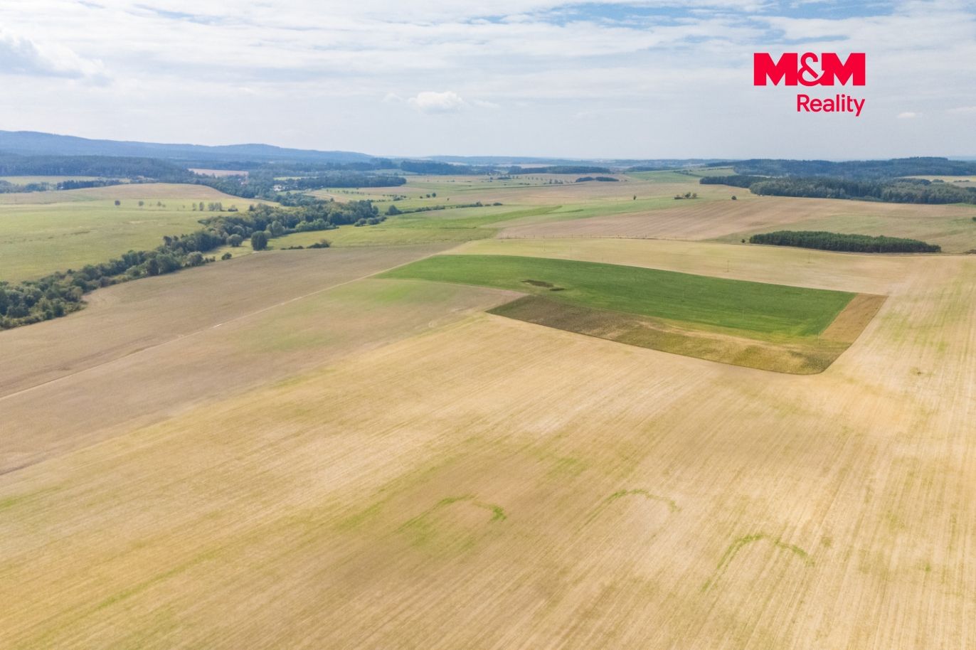 DJI_20260826120854_0007_D.jpg