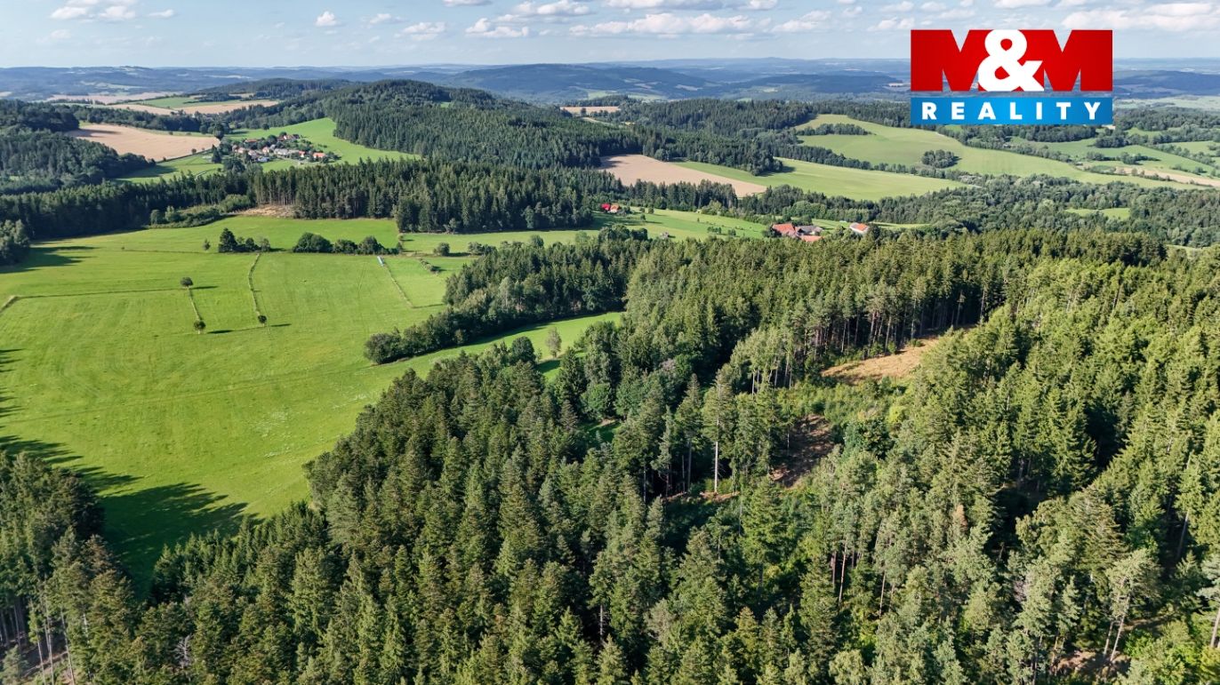 DJI_20250729175748_0201_D.jpg