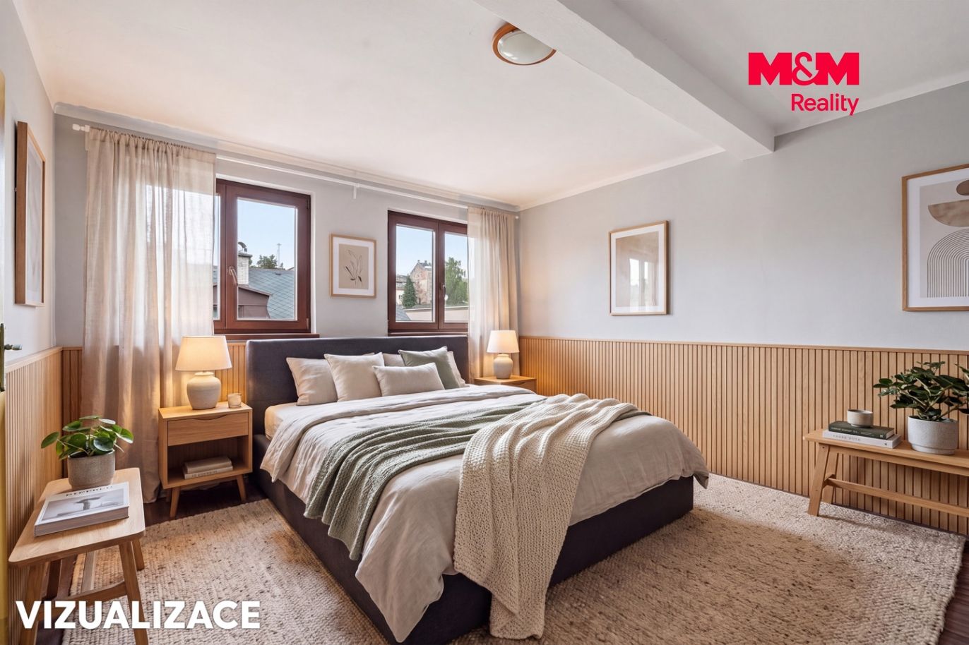 Vizualizace 