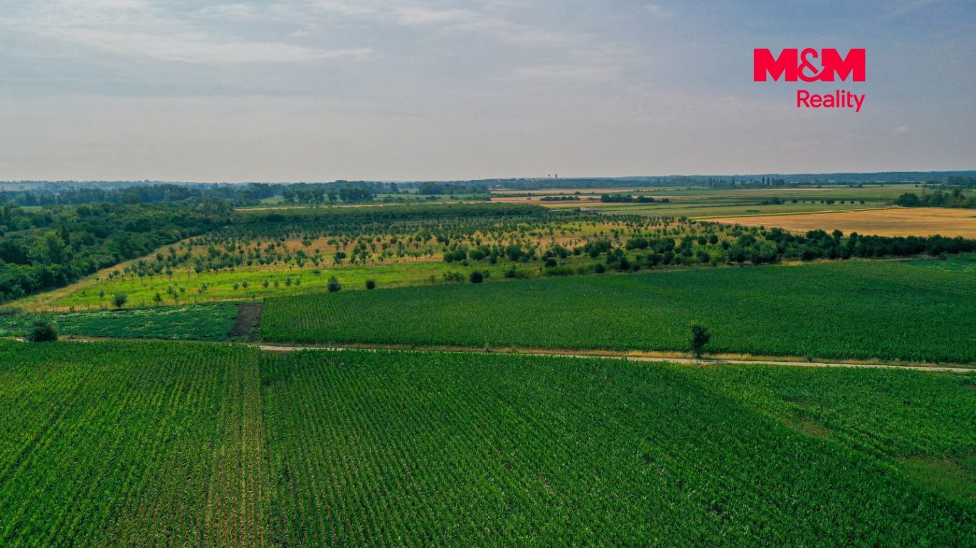 DJI_0893.jpg