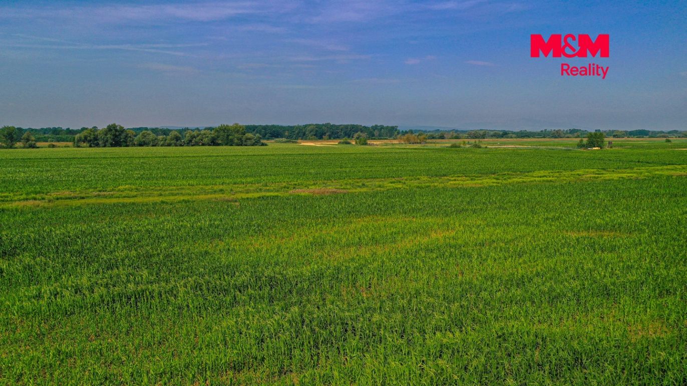 DJI_0863.jpg
