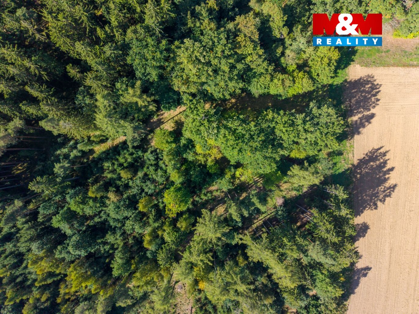 DJI_20250920111829_0012_D.jpg