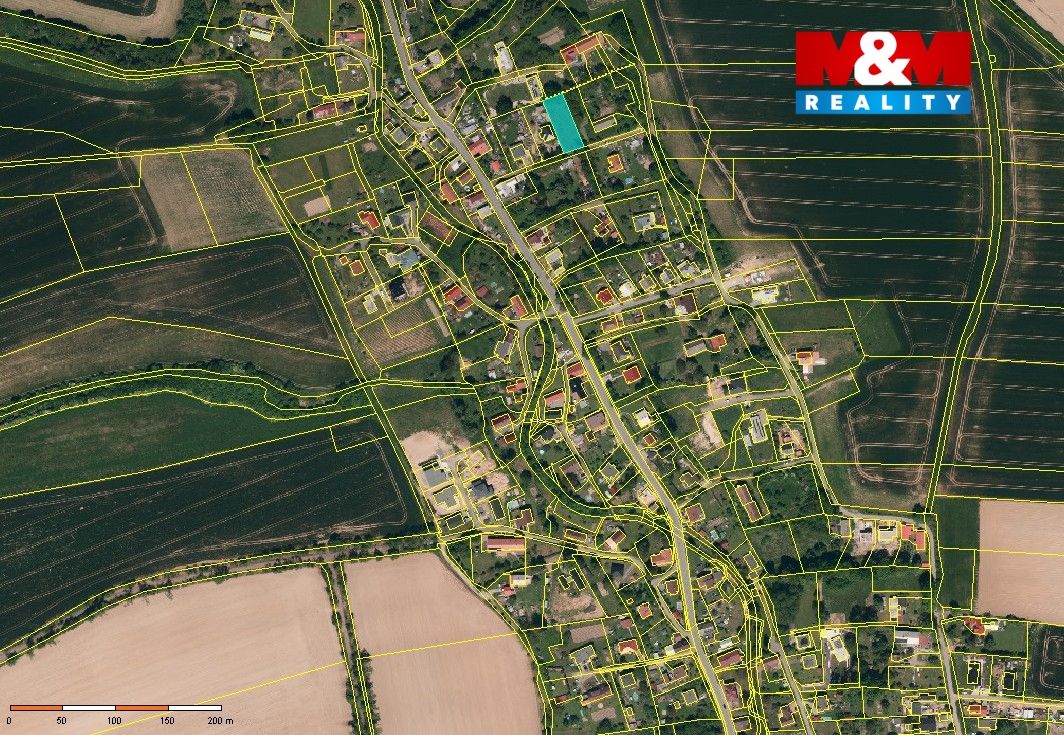 KM orto zoom.jpg